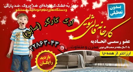نمونه کار قالیشویی ارک (کارگر سابق) در تبریز - 8