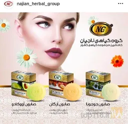 نمونه کار شرکت ناجیان  در تبریز - 8