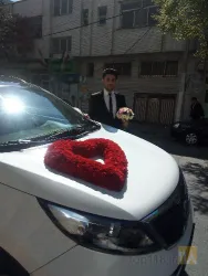نمونه کار گل فلورانس در تبریز - 8