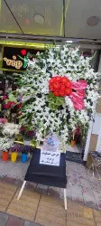 نمونه کار گلسرای لاله در مرند vip در مرند - 8